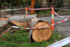 Councils, individuals eligible to apply for disaster assistance