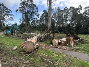 More damaging winds on the way for the east