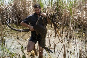 Mauled roo at Lillydale Lake a reminder of dog control