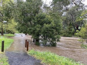 A health check for your insurance policy in case of disaster