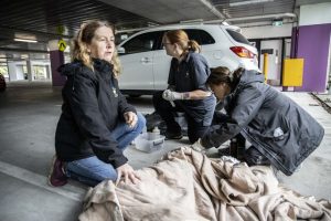 Roo requires rooftop rescue in Mooroolbark