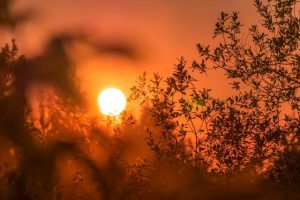 Hunker down to avoid today’s heat