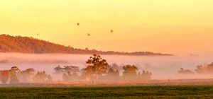 A landscape of summer