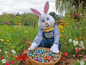 Eggcellent egg hunts at Blue Lotus