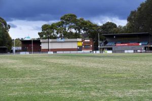 Libs promise reserve work