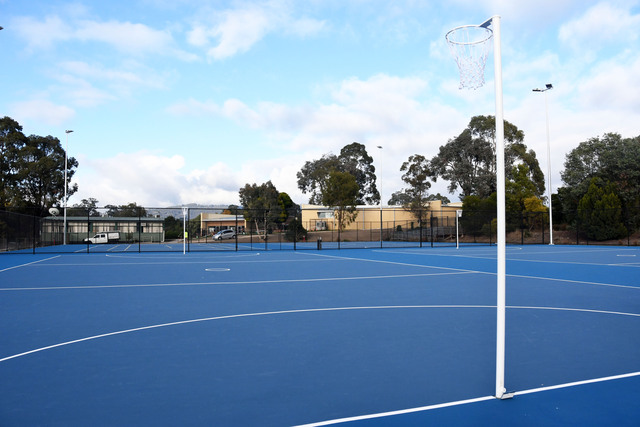 Netball_478207_02.jpg