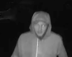 Car wreckers robbed of parts, batteries after late night break-in