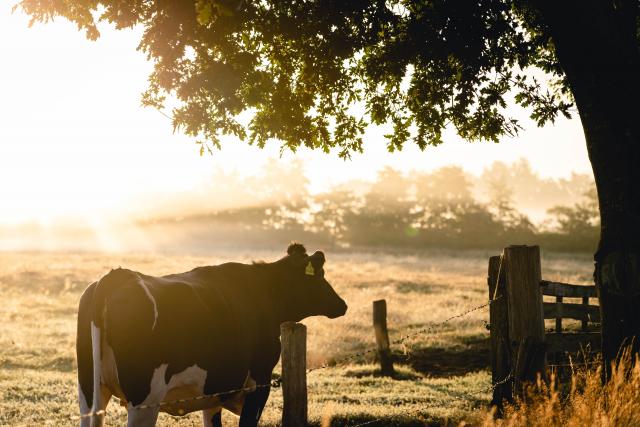 Improved farm water calculator now available
