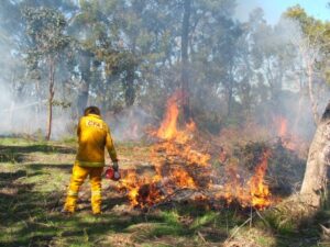 Mount Evelyn planned burn set to be lit within 24hours