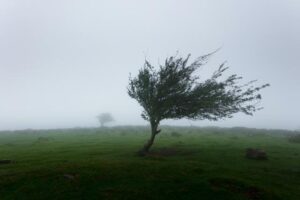 Wind warning issued for Wednesday 22 October