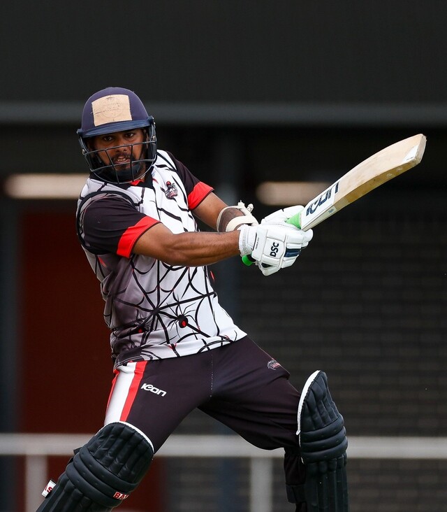 Solomons stars with a blistering run rate