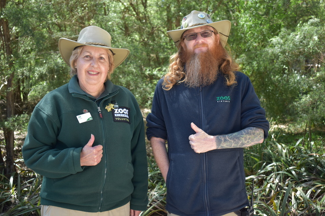 It is always the time of year to volunteer