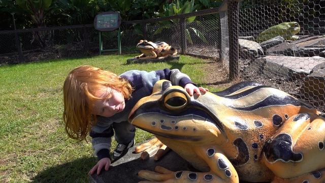 Flowery family fun at Blue Lotus Water Garden