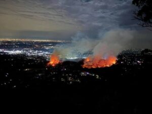 An event that defined 2025: 40ha bushfire in Montrose