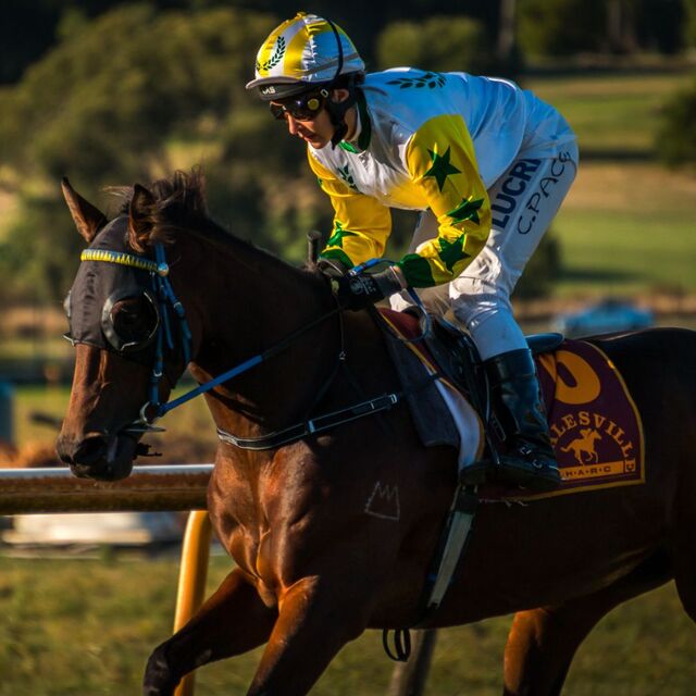 Experience country racing at its best in Healesville