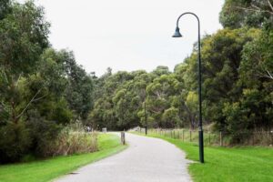Join a Wellness Walk in Lilydale or Mt Evelyn