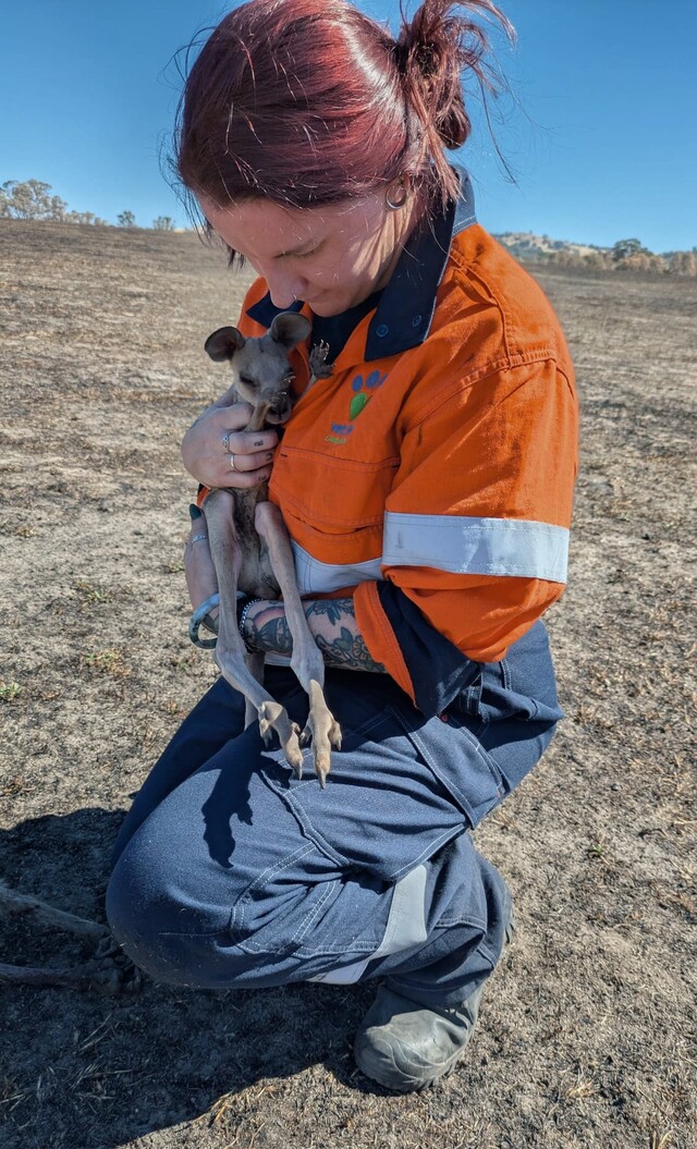 The Ranges’ very own Wildlife Warrior